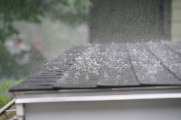 Professional Roofing Services in Park Layne, OH